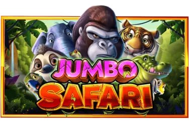 24bet login